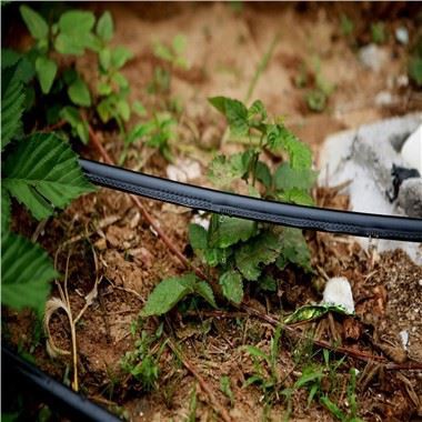 Labyrint drypvandingsrør